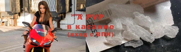 ПСИЛОЦИБИНОВЫЕ ГРИБЫ Баксан