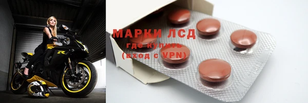 ПСИЛОЦИБИНОВЫЕ ГРИБЫ Баксан